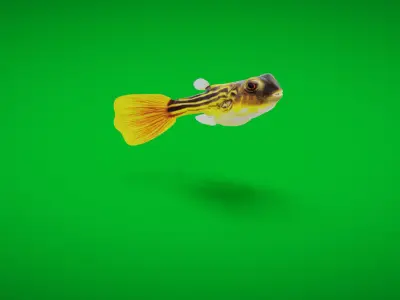 Fahaka Nile Pufferfish Low-poly 3D model