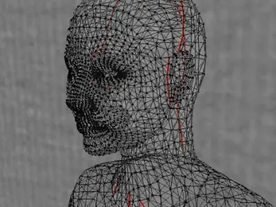 Female Face Sculpt Free low-poly 3D model