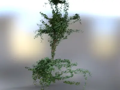 Graves grass 3D model