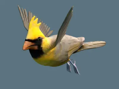 cardinal animated 3D model