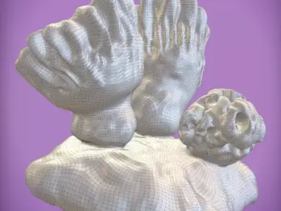 Coral 2 Free low-poly 3D model