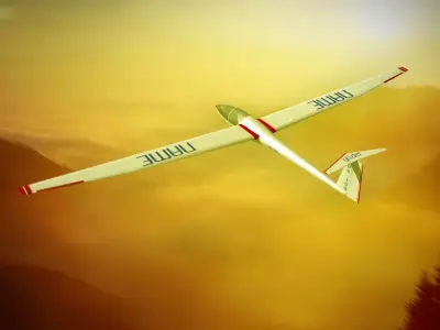 Glider Sailplane Glaser DG-100 low poly Low-poly 3D model