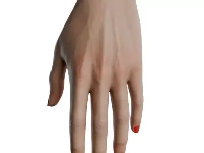 Female Hand Low-poly 3D model