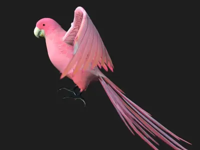 Parrot A8 3D model