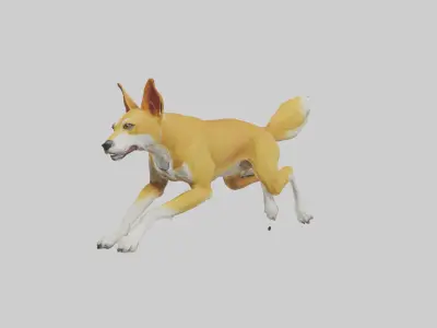 Dingo dog running model Low-poly 3D model