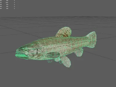 Gianttrahira Low-poly 3D model