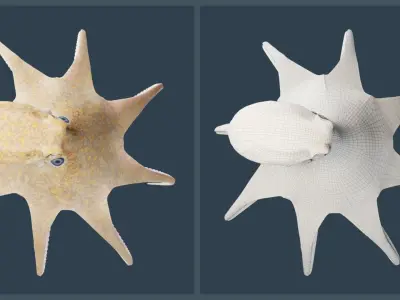 Animated California Two-Spot Octopus Low-poly 3D model