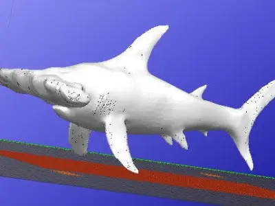 Hammerhead Shark Free 3D model