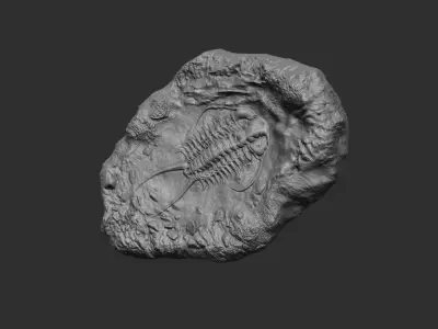 Trilobite Mineral Fossile - Realistic Printable and Keychain 3D print model