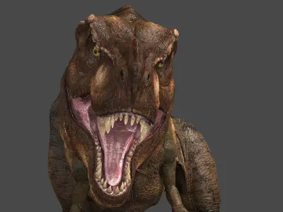 Tyrannosaurus  Rex 3D model