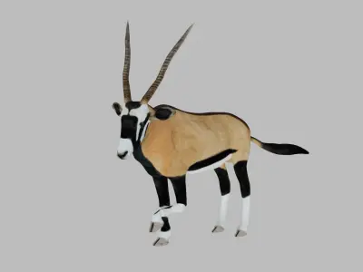 Oryx Antelope Low-poly 3D model