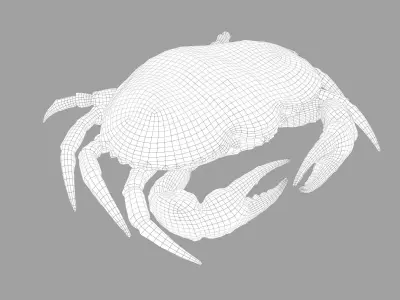 Crab Big Red  Low-poly 3D model