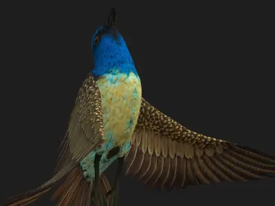 PheasantBird B1 3D model