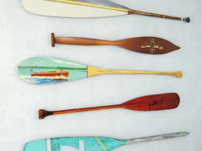Vintage Oars and Paddles 3D model