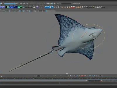 Spotted Eagle Ray Low-poly 3D model