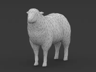 Low Poly Sheep Goat Lamb Low-poly 3D model