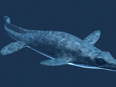 Platecarpus shark Low-poly 3D model