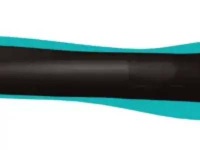 eel fish Free 3D print model