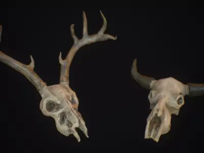 Decorative Skulls- Cow and Deer Low-poly 3D model