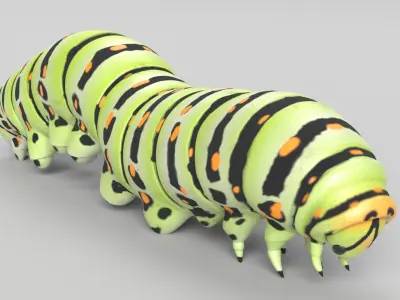 Animated Caterpillar 3D model