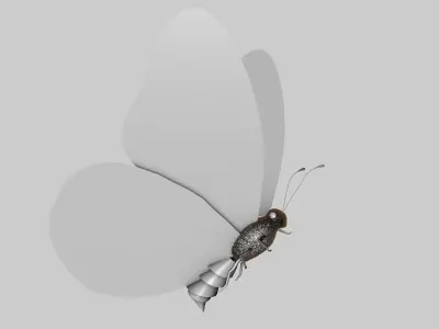 Low Poly Butterfly Low-poly 3D model