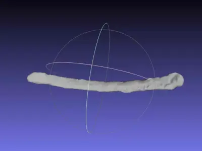 Psittacosaurus Right Rib 2 Mirrored Free 3D print model