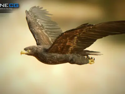 Golden Eagle v3 - Unity Low-poly 3D model