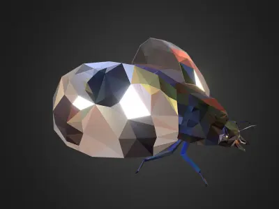 Bug Ladybug White Low Polygon Art Insect Low-poly 3D model