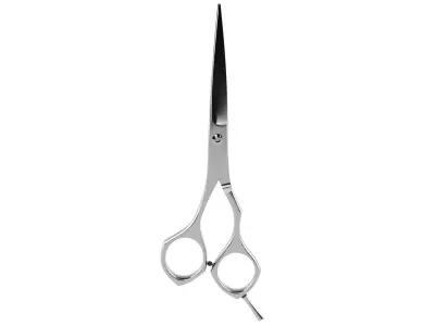 Scissors(1) 3D model