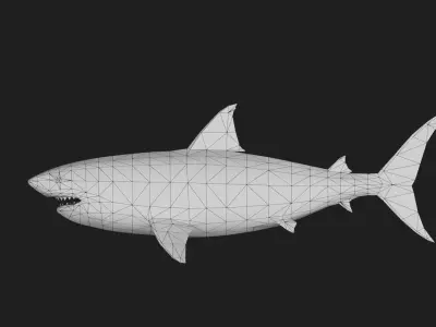 Greatwhiteshark Low-poly 3D model