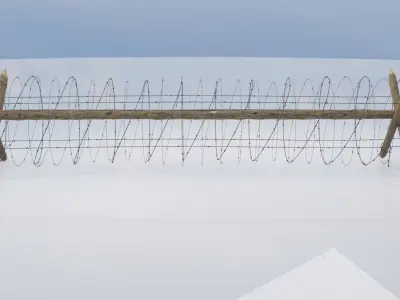 Barb wire anti infantry Free 3D model