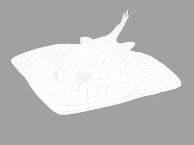 Skate Fish Low-poly 3D model