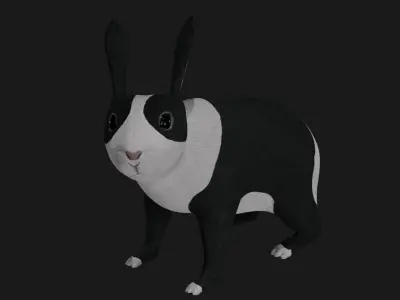 Black and white Rabbit low poly rigged  Low-poly 3D model