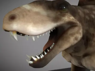 Dimetrodon  Realistic 3D Prehistoric Synapsid Low-poly 3D model