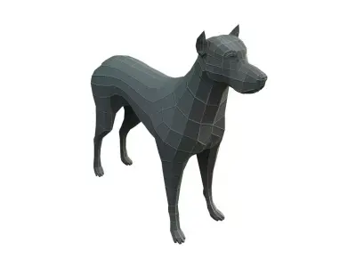 Base Mesh Dog - Low Poly  Low-poly 3D model