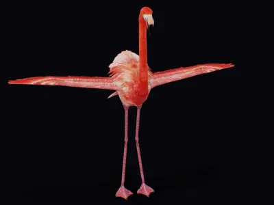 Flamingo American Caribbean Pink Bird Wild Exotic Animal  Low-poly 3D model