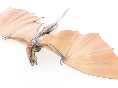 Dragon Animated 3D model purchase