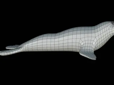 Elephant Seal Base Mesh Low-poly 3D model