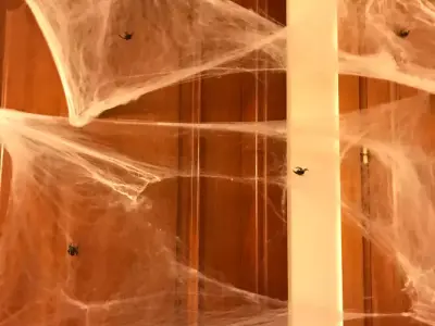 Spider Halloween Prop STL Free 3D print model