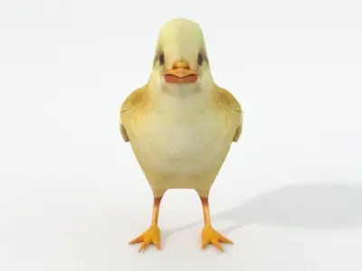 Little Chicken Low-poly 3D model