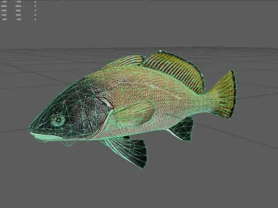 Corb fish Low-poly 3D model