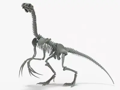 Therizinosaurus Rigged Skeleton Low-poly 3D model