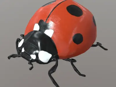 Ladybug plastic Free low-poly 3D model
