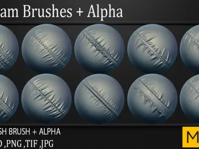 50 Seam Brushes  Alpha Vol 1  3D model