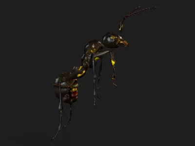 Ant-A1 3D model