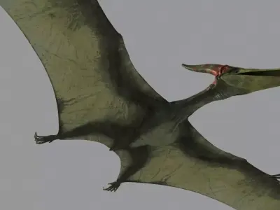 Pterodon dinosaur flying in sky 3D model