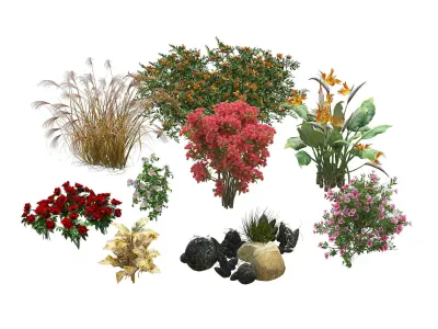 Spring Flower Collection Low-poly 3D model