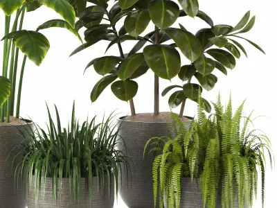 Indoor Plants in Ferm Living Bau Pot Large - Set018 3D model