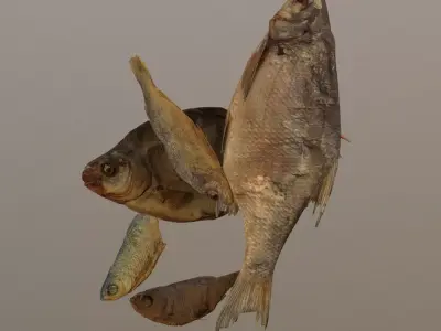 Scanned photorealistic dried fish Low-poly 3D model