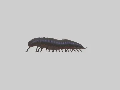 Desert Millipede Low-poly 3D model